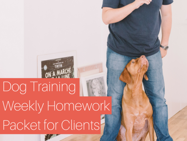 dog training homework