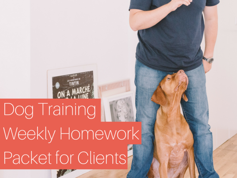 dog training homework sheets