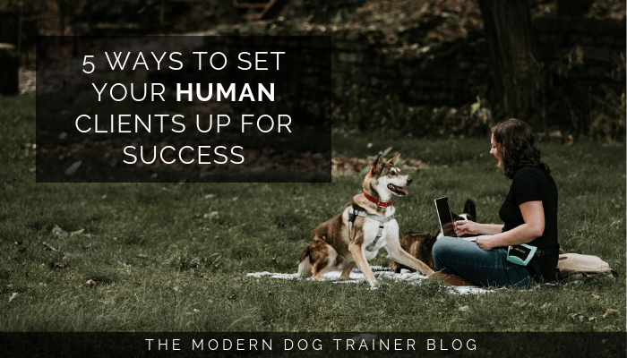 5 Ways to Set Your Clients Up for Success