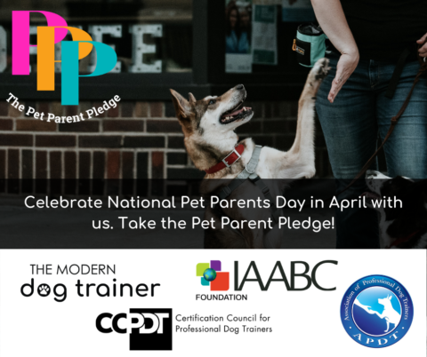 Take the Pet Parent Pledge for National Pet Parents Day - The Modern ...